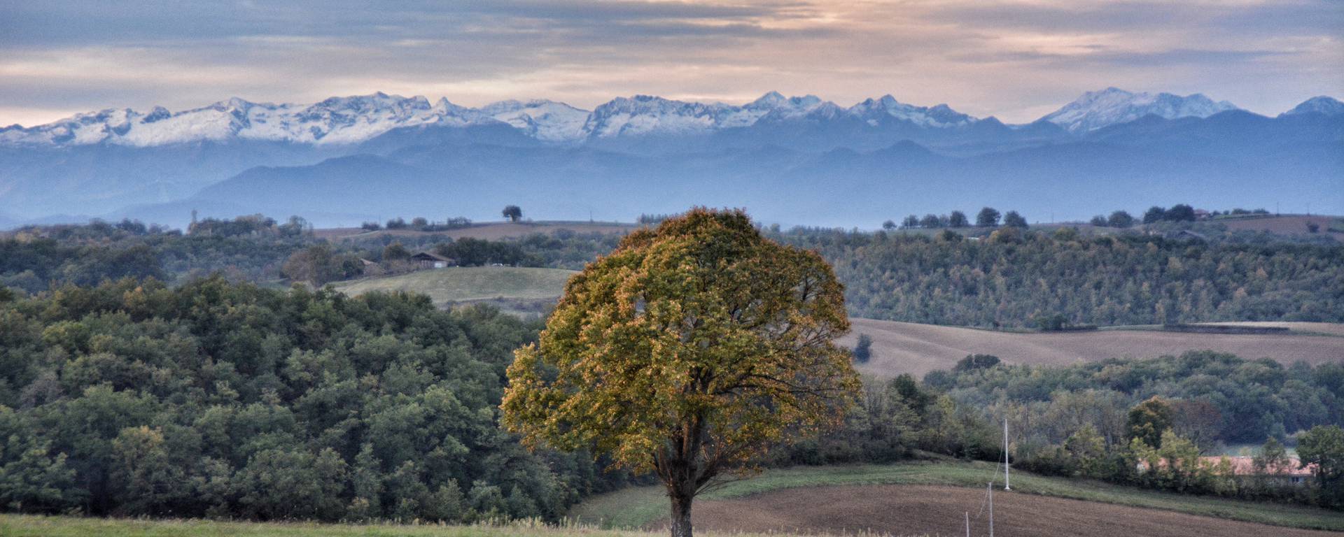 Sabaillan, Samatan, Lombez, Savès, Gers, Gascogne, France