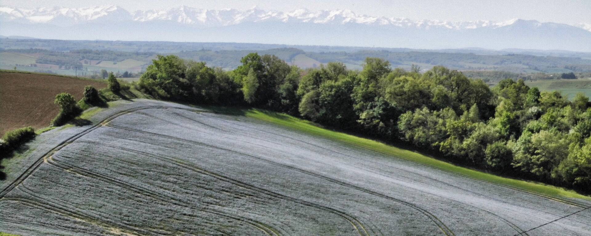 Sabaillan, Samatan, Lombez, Savès, Gers, Gascogne, France