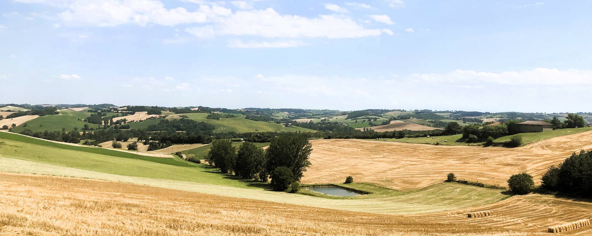 Au Clair, Garravet, Savès, Gers, Gascogne, France