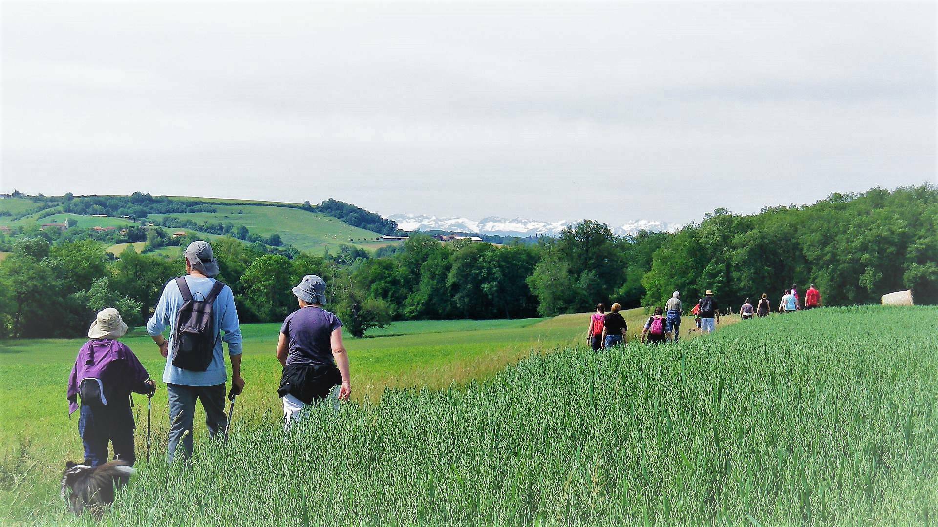 Randonnée, Puylausic, Lombez, Samatan, Savès, Gers, Gascogne, France