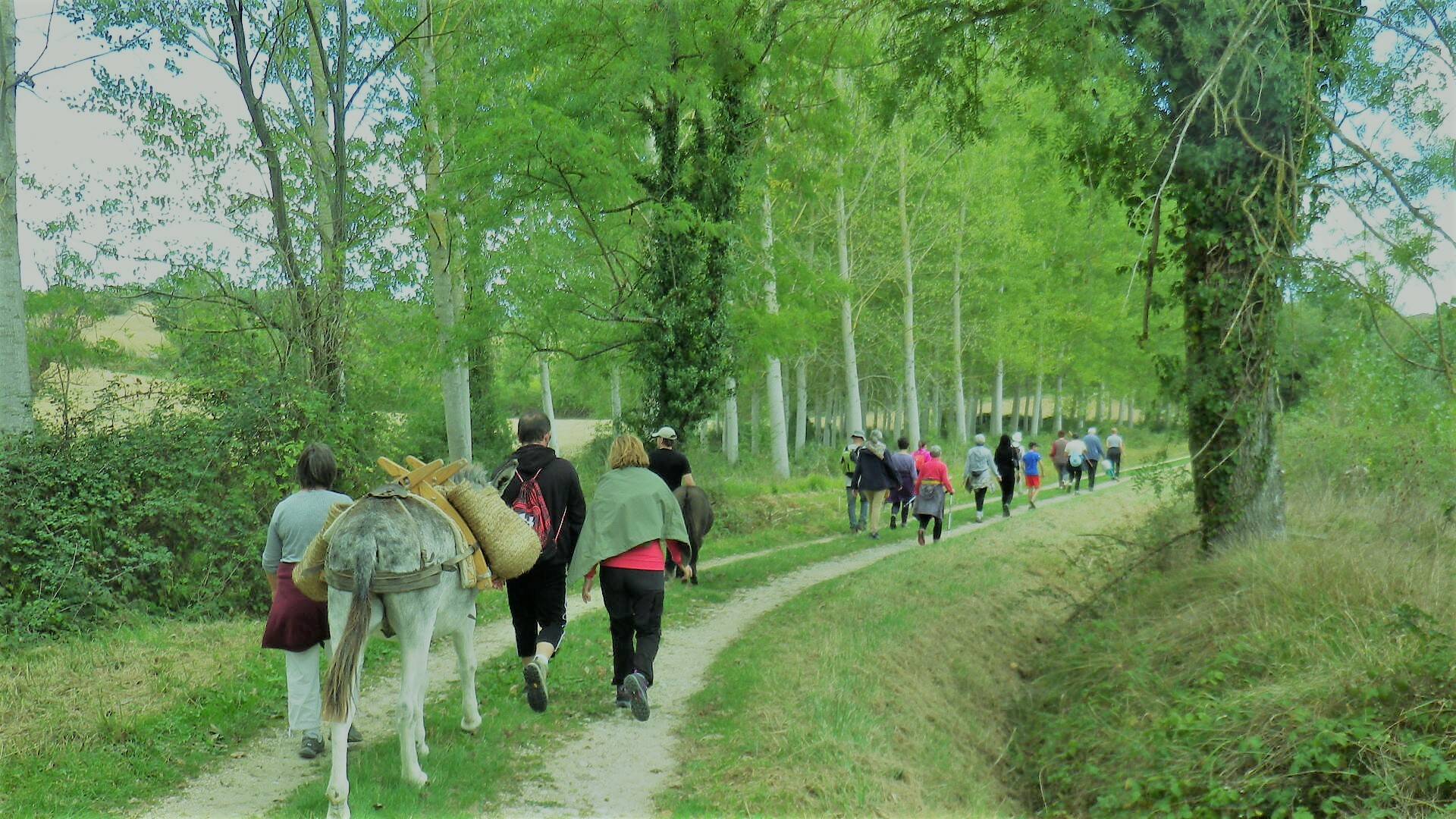 Randonnée, Puylausic, Lombez, Samatan, Savès, Gers, Gascogne, France