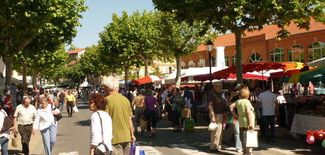 Marché de Samatan, Savès