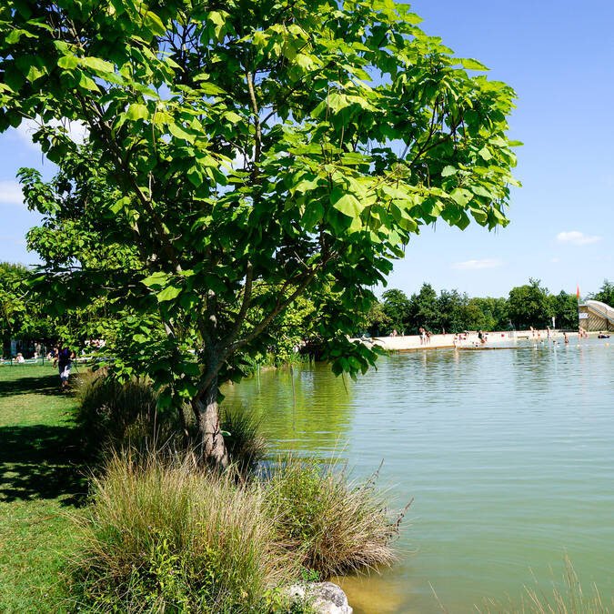 Lac de Samatan, Lombez, Samatan, Gers, Gascogne, France